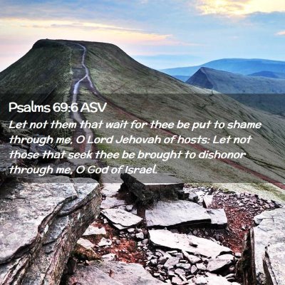 Picture 02 - Psalms 69:6 ASV - Let not them that wait for thee be put to shame - Bible Verse Picture