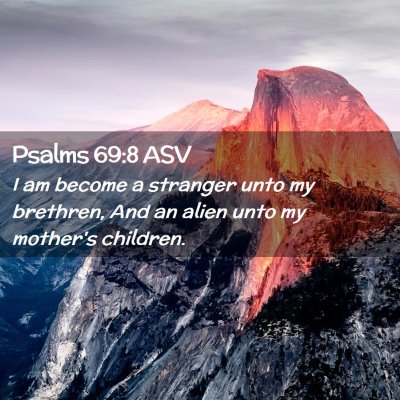 Picture 02 - Psalms 69:8 ASV - I am become a stranger unto my brethren, And an - Bible Verse Picture
