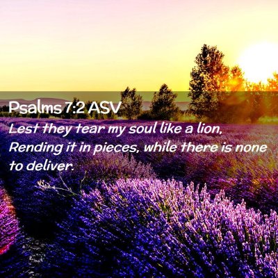 Picture 02 - Psalms 7:2 ASV - Lest they tear my soul like a lion, Rending it in - Bible Verse Picture