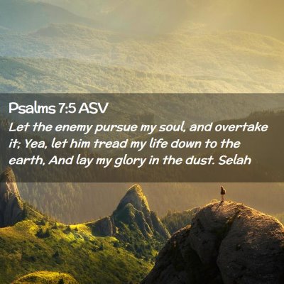 Picture 02 - Psalms 7:5 ASV - Let the enemy pursue my soul, and overtake it; - Bible Verse Picture