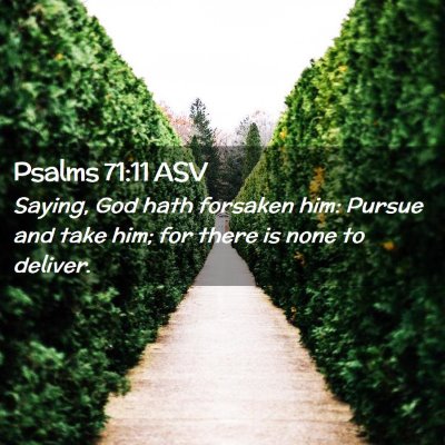 Picture 02 - Psalms 71:11 ASV - Saying, God hath forsaken him: Pursue and take - Bible Verse Picture