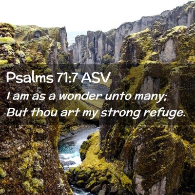 Picture 02 - Psalms 71:7 ASV - I am as a wonder unto many; But thou art my - Bible Verse Picture