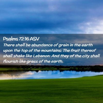 Picture 02 - Psalms 72:16 ASV - There shall be abundance of grain in the earth - Bible Verse Picture
