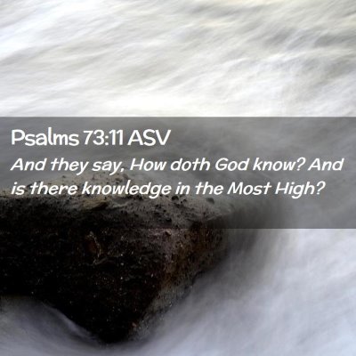 Picture 02 - Psalms 73:11 ASV - And they say, How doth God know? And is there - Bible Verse Picture