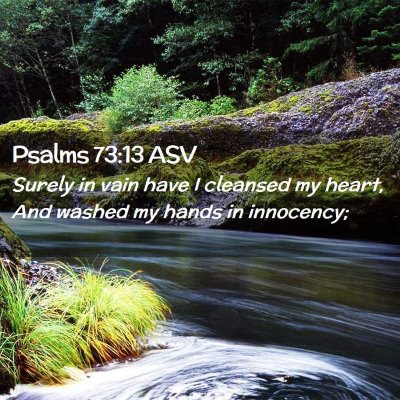 Picture 02 - Psalms 73:13 ASV - Surely in vain have I cleansed my heart, And - Bible Verse Picture