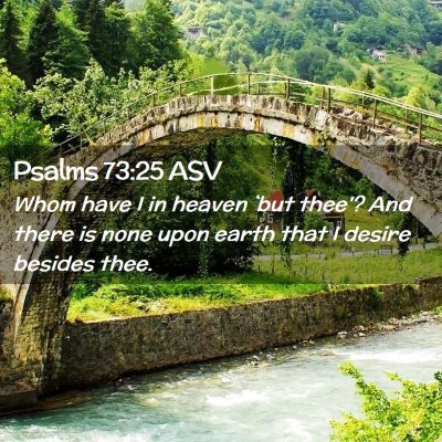 Picture 02 - Psalms 73:25 ASV - Whom have I in heaven `but thee'? And there is - Bible Verse Picture