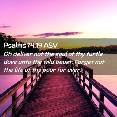 Picture 02 - Psalms 74:19 ASV - Oh deliver not the soul of thy turtle-dove unto - Bible Verse Picture