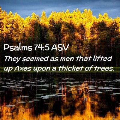 Picture 02 - Psalms 74:5 ASV - They seemed as men that lifted up Axes upon a - Bible Verse Picture