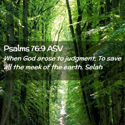 Picture 02 - Psalms 76:9 ASV - When God arose to judgment, To save all the meek - Bible Verse Picture