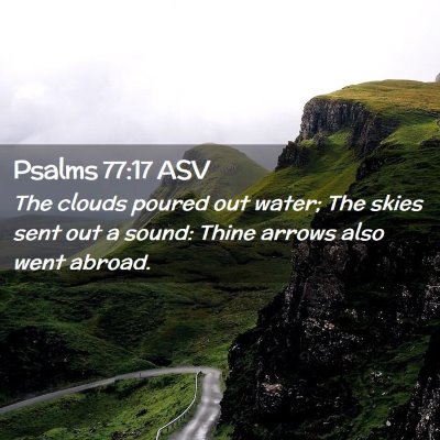 Picture 02 - Psalms 77:17 ASV - The clouds poured out water; The skies sent out a - Bible Verse Picture