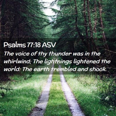 Picture 02 - Psalms 77:18 ASV - The voice of thy thunder was in the whirlwind; - Bible Verse Picture
