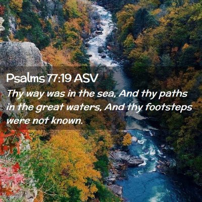 Picture 02 - Psalms 77:19 ASV - Thy way was in the sea, And thy paths in the - Bible Verse Picture
