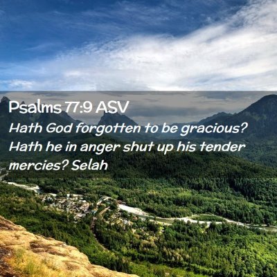 Picture 02 - Psalms 77:9 ASV - Hath God forgotten to be gracious? Hath he in - Bible Verse Picture