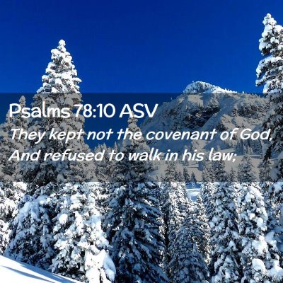 Picture 02 - Psalms 78:10 ASV - They kept not the covenant of God, And refused to - Bible Verse Picture