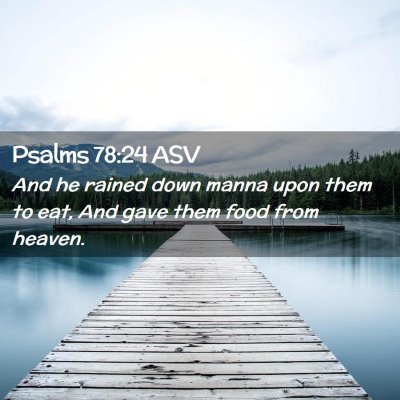 Picture 02 - Psalms 78:24 ASV - And he rained down manna upon them to eat, And - Bible Verse Picture