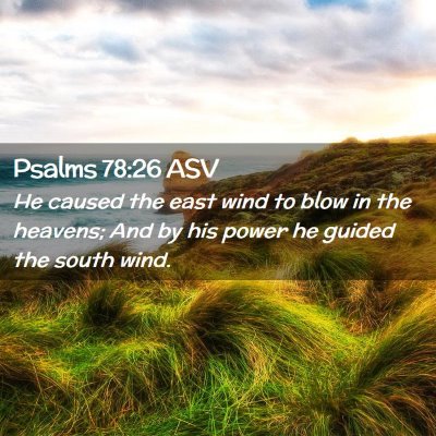 Picture 02 - Psalms 78:26 ASV - He caused the east wind to blow in the heavens; - Bible Verse Picture