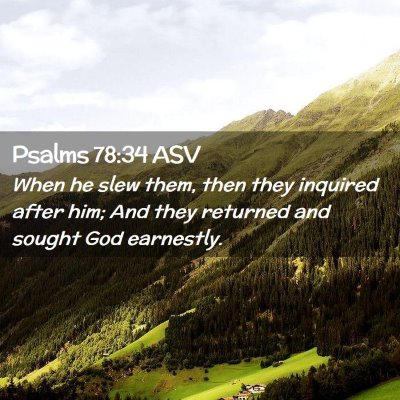 Picture 02 - Psalms 78:34 ASV - When he slew them, then they inquired after him; - Bible Verse Picture