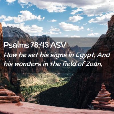 Picture 02 - Psalms 78:43 ASV - How he set his signs in Egypt, And his wonders in - Bible Verse Picture