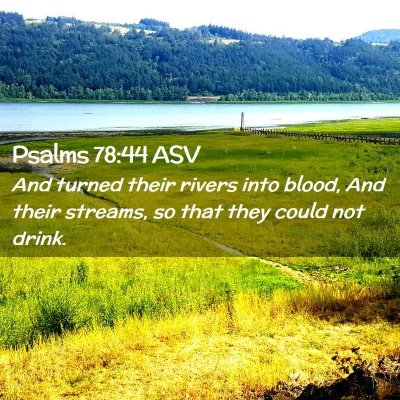 Picture 02 - Psalms 78:44 ASV - And turned their rivers into blood, And their - Bible Verse Picture