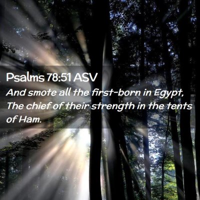 Picture 02 - Psalms 78:51 ASV - And smote all the first-born in Egypt, The chief - Bible Verse Picture
