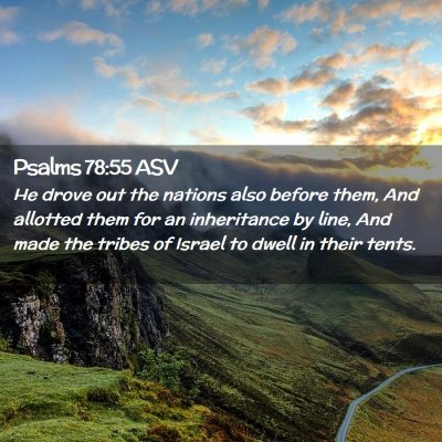 Picture 02 - Psalms 78:55 ASV - He drove out the nations also before them, And - Bible Verse Picture