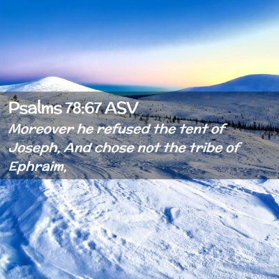 Picture 02 - Psalms 78:67 ASV - Moreover he refused the tent of Joseph, And chose - Bible Verse Picture
