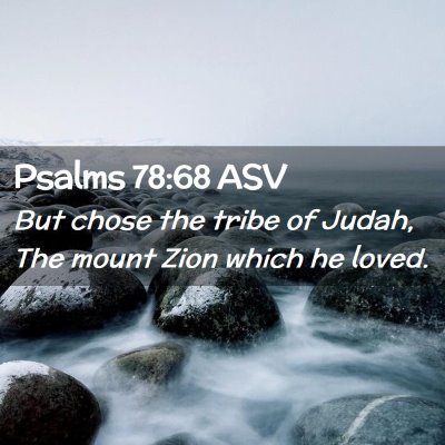 Picture 02 - Psalms 78:68 ASV - But chose the tribe of Judah, The mount Zion - Bible Verse Picture