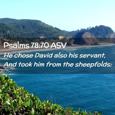 Picture 02 - Psalms 78:70 ASV - He chose David also his servant, And took him - Bible Verse Picture