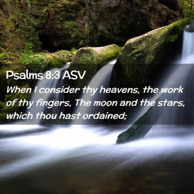 Picture 02 - Psalms 8:3 ASV - When I consider thy heavens, the work of thy - Bible Verse Picture