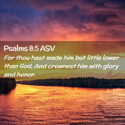 Picture 02 - Psalms 8:5 ASV - For thou hast made him but little lower than God, - Bible Verse Picture