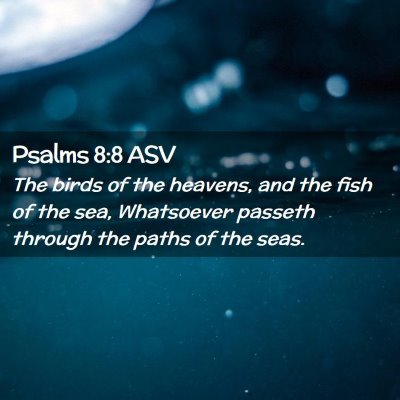 Picture 02 - Psalms 8:8 ASV - The birds of the heavens, and the fish of the - Bible Verse Picture
