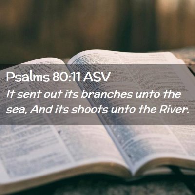 Picture 02 - Psalms 80:11 ASV - It sent out its branches unto the sea, And its - Bible Verse Picture