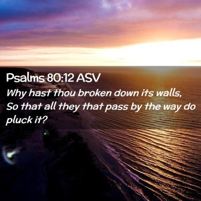 Picture 02 - Psalms 80:12 ASV - Why hast thou broken down its walls, So that all - Bible Verse Picture