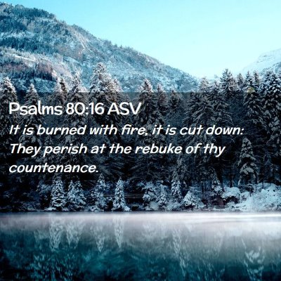 Picture 02 - Psalms 80:16 ASV - It is burned with fire, it is cut down: They - Bible Verse Picture