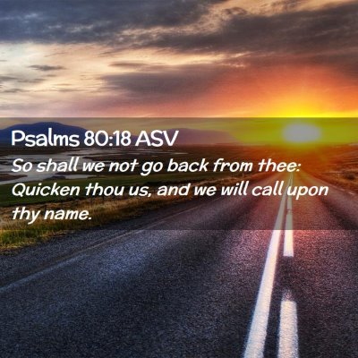 Picture 02 - Psalms 80:18 ASV - So shall we not go back from thee: Quicken thou - Bible Verse Picture