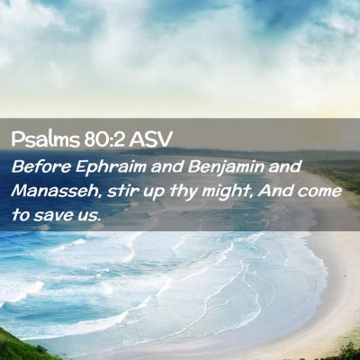 Picture 02 - Psalms 80:2 ASV - Before Ephraim and Benjamin and Manasseh, stir up - Bible Verse Picture