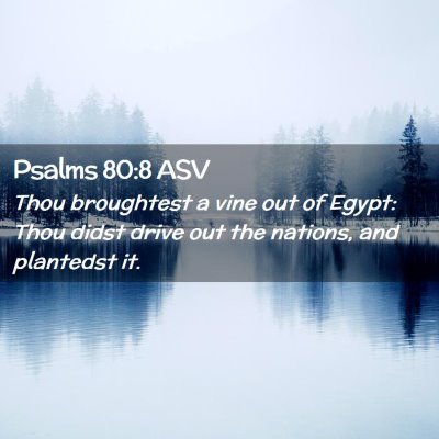 Picture 02 - Psalms 80:8 ASV - Thou broughtest a vine out of Egypt: Thou didst - Bible Verse Picture