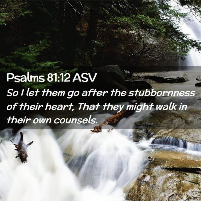 Picture 02 - Psalms 81:12 ASV - So I let them go after the stubbornness of their - Bible Verse Picture