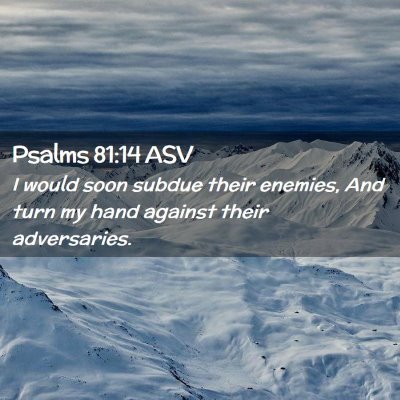 Picture 02 - Psalms 81:14 ASV - I would soon subdue their enemies, And turn my - Bible Verse Picture