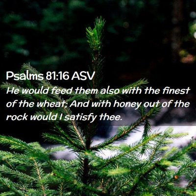 Picture 02 - Psalms 81:16 ASV - He would feed them also with the finest of the - Bible Verse Picture