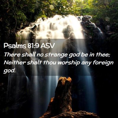 Picture 02 - Psalms 81:9 ASV - There shall no strange god be in thee; Neither - Bible Verse Picture