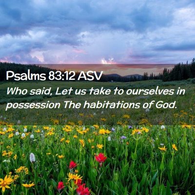 Picture 02 - Psalms 83:12 ASV - Who said, Let us take to ourselves in possession - Bible Verse Picture
