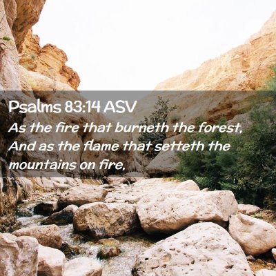 Picture 02 - Psalms 83:14 ASV - As the fire that burneth the forest, And as the - Bible Verse Picture