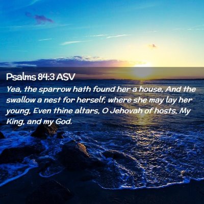 Picture 02 - Psalms 84:3 ASV - Yea, the sparrow hath found her a house, And the - Bible Verse Picture
