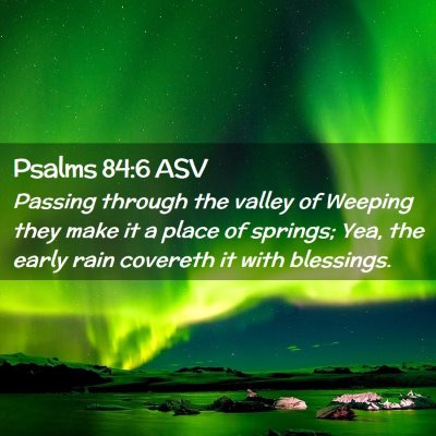 Picture 02 - Psalms 84:6 ASV - Passing through the valley of Weeping they make - Bible Verse Picture