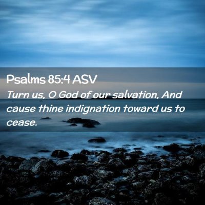 Picture 02 - Psalms 85:4 ASV - Turn us, O God of our salvation, And cause thine - Bible Verse Picture