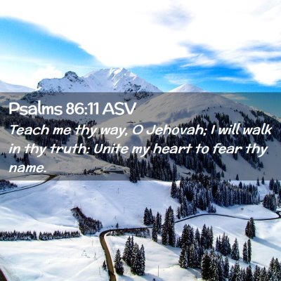 Picture 02 - Psalms 86:11 ASV - Teach me thy way, O Jehovah; I will walk in thy - Bible Verse Picture