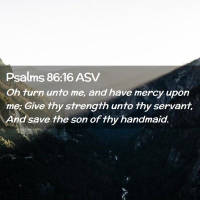 Picture 02 - Psalms 86:16 ASV - Oh turn unto me, and have mercy upon me; Give thy - Bible Verse Picture