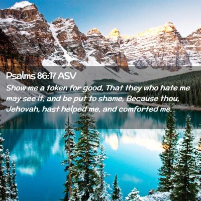 Picture 02 - Psalms 86:17 ASV - Show me a token for good, That they who hate me - Bible Verse Picture