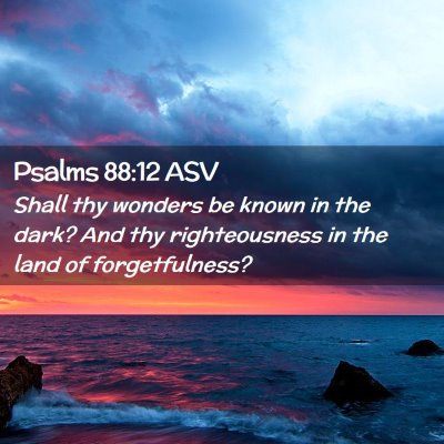Picture 02 - Psalms 88:12 ASV - Shall thy wonders be known in the dark? And thy - Bible Verse Picture
